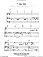Cover icon of At Your Side sheet music for voice, piano or guitar by The Corrs, intermediate skill level