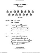 Cover icon of King Of Trees sheet music for guitar (chords) by Cat Stevens, intermediate skill level