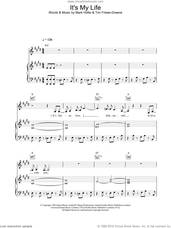 Cover icon of It's My Life sheet music for voice, piano or guitar by No Doubt, intermediate skill level
