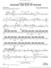 Cover icon of Soundtrack Highlights from Avatar: The Way of Water (arr. Brown) sheet music for concert band (percussion 2) by Simon Franglen and Michael Brown, intermediate skill level