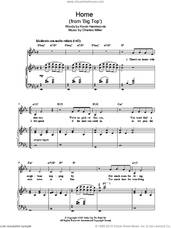 Cover icon of Home sheet music for piano solo by Charles Miller and Kevin Hammonds, easy skill level