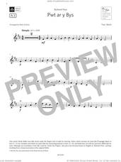 Cover icon of Pwt ar y Bys (Grade Initial, A3, from the ABRSM Violin Syllabus from 2024) sheet music for violin solo by Trad. Welsh and Peter Gritton, classical score, intermediate skill level