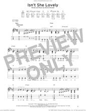 Cover icon of Isn't She Lovely (arr. Steven B. Eulberg) sheet music for dulcimer solo by Stevie Wonder and Steven B. Eulberg, intermediate skill level
