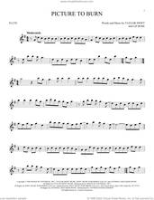 Cover icon of Picture To Burn sheet music for flute solo by Taylor Swift and Liz Rose, intermediate skill level