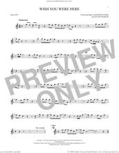 Cover icon of Wish You Were Here sheet music for mallet solo (Percussion) by Pink Floyd, David Gilmour and Roger Waters, intermediate mallet (Percussion)