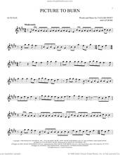 Cover icon of Picture To Burn sheet music for alto saxophone solo by Taylor Swift and Liz Rose, intermediate skill level