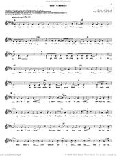 Cover icon of Wait A Minute sheet music for voice and other instruments (fake book) by Toby Gad and Jade Ewen, intermediate skill level