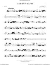 Cover icon of Another In The Fire sheet music for flute solo by Hillsong United and Chris Davenport, intermediate skill level