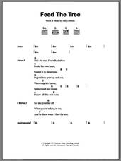 Cover icon of Feed The Tree sheet music for guitar (chords) by Belly and Tanya Donelly, intermediate skill level