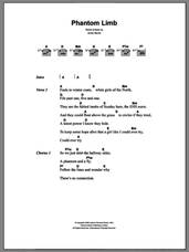 Cover icon of Phantom Limb sheet music for guitar (chords) by The Shins and James Mercer, intermediate skill level