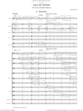 Cover icon of Aile du songe (Chamber Version) sheet music for orchestra (study score) by Kaija Saariaho, classical score, intermediate skill level