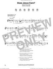 Cover icon of Does Jesus Care? sheet music for guitar solo (chords) by Frank E. Graeff and J. Lincoln Hall, easy guitar (chords)