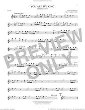 Cover icon of You Are My King (Amazing Love) sheet music for flute solo by Newsboys, Passion and Billy Foote, intermediate skill level