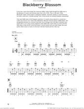 Cover icon of Blackberry Blossom (arr. Fred Sokolow) sheet music for banjo solo  and Fred Sokolow, intermediate skill level