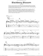 Cover icon of Blackberry Blossom (arr. Fred Sokolow) sheet music for dobro solo  and Fred Sokolow, easy skill level