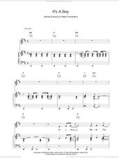 Cover icon of It's A Boy sheet music for voice, piano or guitar by The Who and Pete Townshend, intermediate skill level