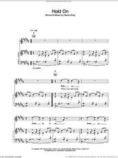 Cover icon of Hold On sheet music for voice, piano or guitar by David Gray, intermediate skill level