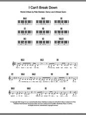 Cover icon of I Can't Break Down sheet music for piano solo (chords, lyrics, melody) by Sinead Quinn, Denny Lew and Pete Glenister, intermediate piano (chords, lyrics, melody)