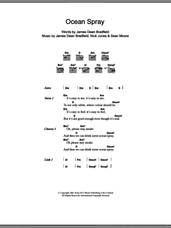Cover icon of Ocean Spray sheet music for guitar (chords) by Manic Street Preachers, James Dean Bradfield, Nick Jones and Sean Moore, intermediate skill level