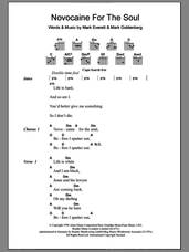 Cover icon of Novocaine For The Soul sheet music for guitar (chords) by Eels, Mark Everett and Mark Goldenberg, intermediate skill level