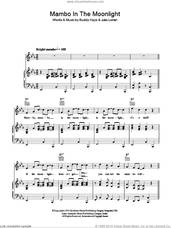 Cover icon of Mambo In The Moonlight sheet music for voice, piano or guitar by Ireen Sheer, Buddy Kaye and Jules Loman, intermediate skill level
