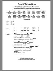 Cover icon of Say It To Me Now sheet music for guitar (chords) by Glen Hansard, The Frames, David Odlum, Graham Downey and Paul Brennan, intermediate skill level