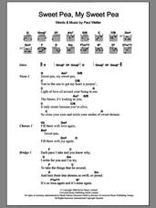 Cover icon of Sweet Pea, My Sweet Pea sheet music for guitar (chords) by Paul Weller, intermediate skill level