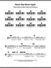 Cover icon of Never Say Never Again sheet music for piano solo (chords, lyrics, melody) by Steps, Andrew Frampton and Pete Waterman, intermediate piano (chords, lyrics, melody)