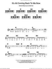 Cover icon of It's All Coming Back To Me Now sheet music for piano solo (chords, lyrics, melody) by Celine Dion and Jim Steinman, intermediate piano (chords, lyrics, melody)