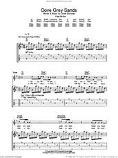 Cover icon of Dove Grey Sands sheet music for guitar (tablature) by Feeder and Grant Nicholas, intermediate skill level