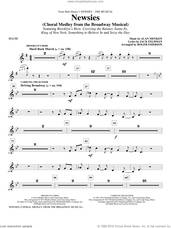 Cover icon of Newsies (Choral Medley) sheet music for orchestra/band (flute) by Alan Menken, Jack Feldman, Newsies (Musical) and Roger Emerson, intermediate skill level