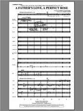 Cover icon of A Father's Love, A Perfect Rose (from Festival Of Carols) (COMPLETE) sheet music for orchestra/band by Joseph M. Martin, intermediate skill level