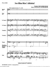 Cover icon of See Him Rise! Alleluia! (complete set of parts) sheet music for orchestra/band (Special) by Douglas E. Wagner and John Parker, intermediate skill level