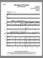 Cover icon of Morning of Promise (COMPLETE) sheet music for orchestra/band by Joseph M. Martin, intermediate skill level