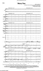 Cover icon of Mercy Tree (COMPLETE) sheet music for orchestra/band by Joseph M. Martin, Krissy Nordhoff, Lacey Sturm and Michael William Neale, intermediate skill level