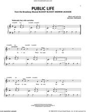Cover icon of Public Life sheet music for voice and piano by Michael Friedman, intermediate skill level