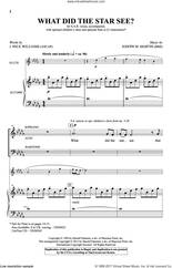 Cover icon of What Did The Star See? sheet music for choir (SAB: soprano, alto, bass) by Joseph M. Martin and J. Paul Williams, intermediate skill level