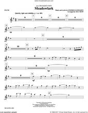 Cover icon of Meadowlark (complete set of parts) sheet music for orchestra/band by Mac Huff and Stephen Schwartz, intermediate skill level