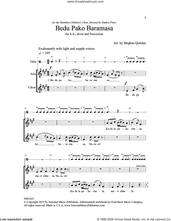 Cover icon of Bedu Pako Baramasa sheet music for choir (2-Part) by Meghan Quinlan, intermediate duet