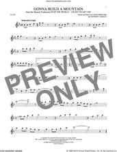 Cover icon of Gonna Build A Mountain sheet music for flute solo by Leslie Bricusse and Anthony Newley, intermediate skill level