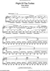 Cover icon of Plight Of The Turtles sheet music for piano solo by Sarah Class, intermediate skill level
