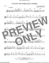 Cover icon of I've Got The World On A String sheet music for flute solo by Harold Arlen, Dick Hyman and Ted Koehler, intermediate skill level