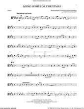 Cover icon of Going Home For Christmas sheet music for viola solo by Steven Curtis Chapman and James Isaac Elliott, intermediate skill level
