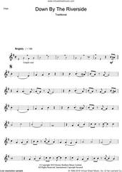 Cover icon of Down By The Riverside sheet music for flute solo, intermediate skill level