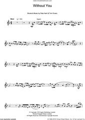 Cover icon of Without You sheet music for flute solo by Badfinger, Pete Ham and Tom Evans, intermediate skill level