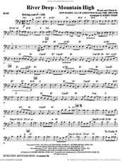 Cover icon of River Deep, mountain high (arr. kirby shaw) sheet music for orchestra/band (bass) by Kirby Shaw, Tina Turner, Ellie Greenwich, Jeff Barry and Phil Spector, intermediate skill level