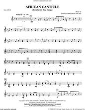 Cover icon of African Canticle (complete set of parts) sheet music for orchestra/band by Joseph M. Martin and David Angerman, intermediate skill level