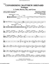 Cover icon of Considering Matthew Shepard sheet music for orchestra/band (viola) by Craig Hella Johnson, Leslea Newman and Michael Dennis Browne, intermediate skill level
