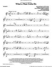 Cover icon of What a Man Gotta Do (arr. Mark Brymer) (complete set of parts) sheet music for orchestra/band by Mark Brymer, Dave Stewart, Jess Agombar, Jonas Brothers, Joseph Jonas, Kevin Jonas, Nick Jonas and Ryan Tedder, intermediate skill level