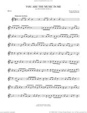 Cover icon of You Are The Music In Me (from High School Musical 2) sheet music for Hand Bells Solo (bell solo) by Jamie Houston and Zac Efron and Vanessa Anne Hudgens, intermediate Hand Bells Solo (bell)